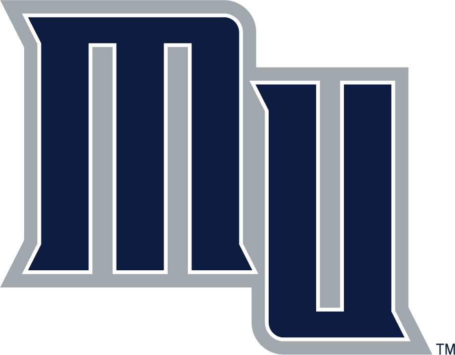 Monmouth Hawks 2003-2014 Secondary Logo v2 iron on transfers for clothing